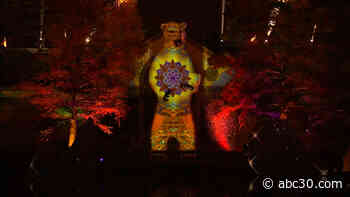 LumiNature is the Philly Zoo's brand new light-filled extravaganza