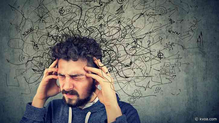 4 Your Health: Researches find plants help with stress at work