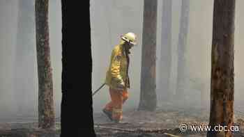 Searing temperatures, strong winds complicate Australia wildfire battle