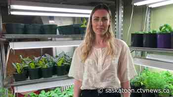 Saskatoon businesses share tips on how to live more eco-friendly in 2020