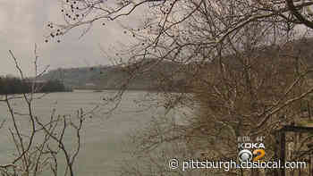 Game Commission To Sell Seedlings