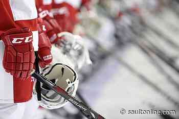 Sloppy Defence Leads to Embarrassing Hounds Loss