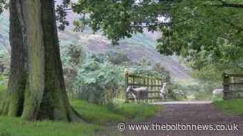 Enjoy nature on this link between Wheelton and White Coppice