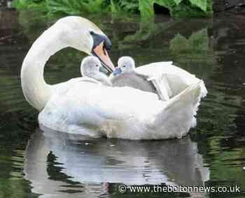 Bolton News Camera Club images of the year part 2