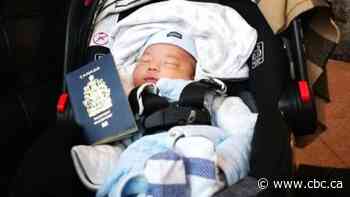 'All about the money': How women travelling to Canada to give birth could strain the health-care system