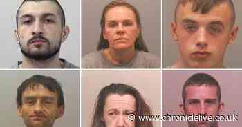 Perverts, killers and con men - the 277 criminals locked up in 2019