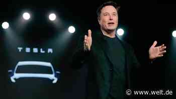 Tesla will gleich zwei Modelle in Brandenburg bauen