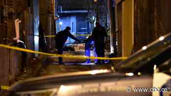 Elderly woman suffers serious, possibly life-threatening injuries in stabbing