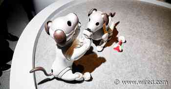 CES 2020 Trends We're Expecting: 5G, E-Scooters, Foldables, Privacy