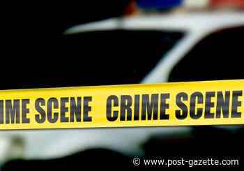 Man wounded while driving in McKeesport