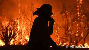 'It's unprecedented': What is behind Australia's devastating fires?