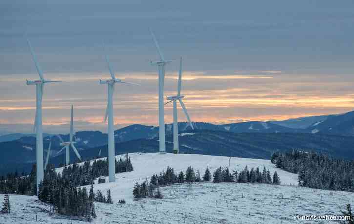 Austria Clears Final Hurdle to Conservative-Green Coalition