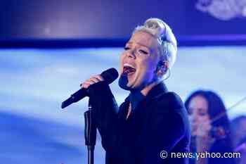 P!nk Joins Celebrities in Donating to Help Fight Australia's Catastrophic Wildfires, Pledging to Give $500,000