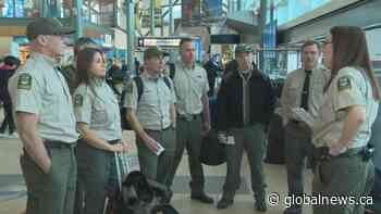 Seven Alberta firefighters deployed to Australia