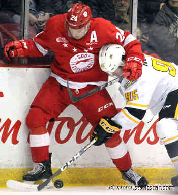 Sting, Hounds clash: GALLERY