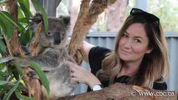 What a Canadian woman is doing to help badly burned koalas in Australia