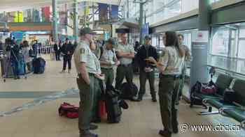 Seven more Alberta firefighters sent to fight Australia's fires