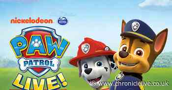 10 of the strangest things every parent has noticed about Paw Patrol
