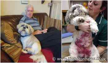 Bolton public comes to the rescue to give Barney the dog second chance