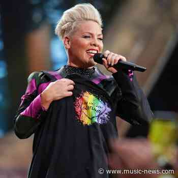 Pink donates $500,000 to Australian bushfire relief effort