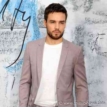 Liam Payne hints at One Direction anniversary documentary