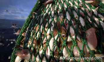 Conservationists call for three-mile coastal fishing limit in Scotland