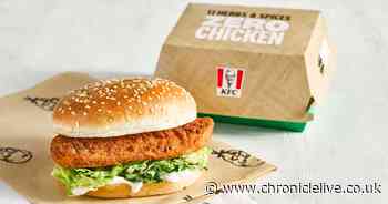 KFC admits selling chicken instead of meat-free burger to vegans