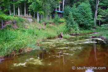 Your View: Lake Superior Pond Scum – A Warning