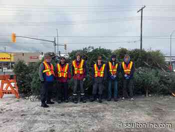 Clean North Tree Recycling Gives Back to the Community