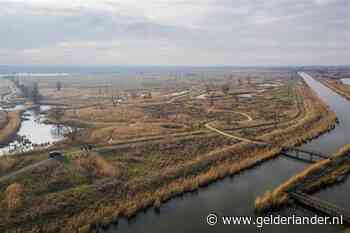 Actievoerders dumpen hooi in Oostvaardersplassen: ‘Levensgevaarlijke actie’