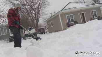 First winter storm of 2020 could bring up to 40 cm of snow for eastern Newfoundland