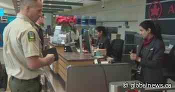 7 Alberta firefighters to go help fight raging Australia wildfires