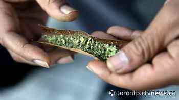 New cannabis products may not eat into black market, experts say