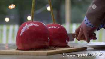 Pruimen en dubbel D: Heel Holland Bakt vol foute grapjes