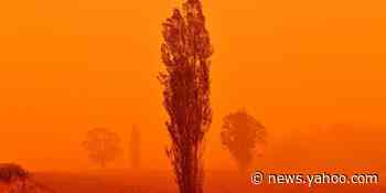 Red skies are blanketing southeast Australia as hundreds of fires ravage the country