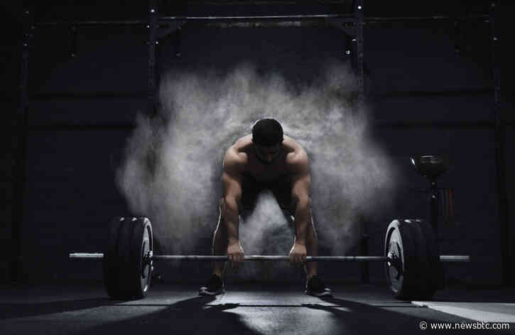 Here’s What Altcoins’ Rally Means for Where the Crypto Markets are Heading Next