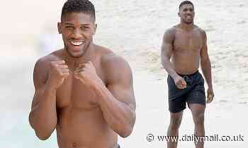 Anthony Joshua displays his ripped physique as he boxes shirtless on the beach in Barbados
