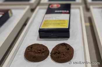 New cannabis products may not eat into black market, experts say