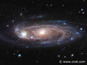 Gigantic 'Godzilla galaxy' spotted by NASA's Hubble telescope     - CNET