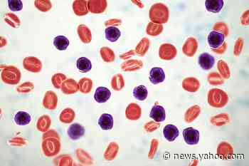 'Cancer clusters' are popping up in towns across the US and the environment may be to blame