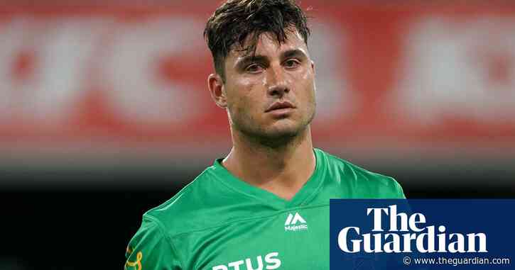 Marcus Stoinis's homophobic slur came from clash of 'two alpha males', says coach