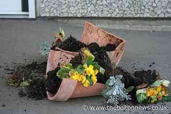 Bolton man fined after destroying woman's plant pots