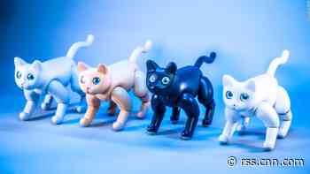 Robot kitties and smart trash cans are getting buzz at CES 2020