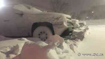 Schools close as blowing snow, heavy winds wallop eastern Newfoundland