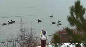 Bundle up and grab the shovel: This is your frigid Saskatoon forecast