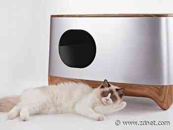 CES 2020: Really, an AI-powered litter box?