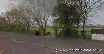 Manhunt under way after teenager slashed with blade and sprayed with unknown substance in Byker park