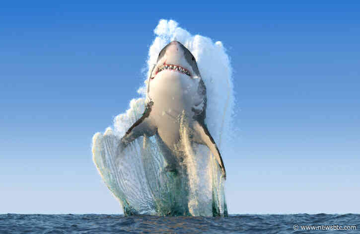 XRP Spikes 10.5% in Biggest Single Day Surge in 8 Months: What Triggered it?