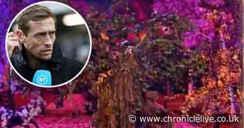 The Masked Singer's Tree isn't Peter Crouch as footballer responds to speculation