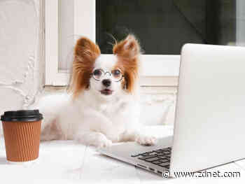 Five days of fired-up productivity: Power up your productivity tools